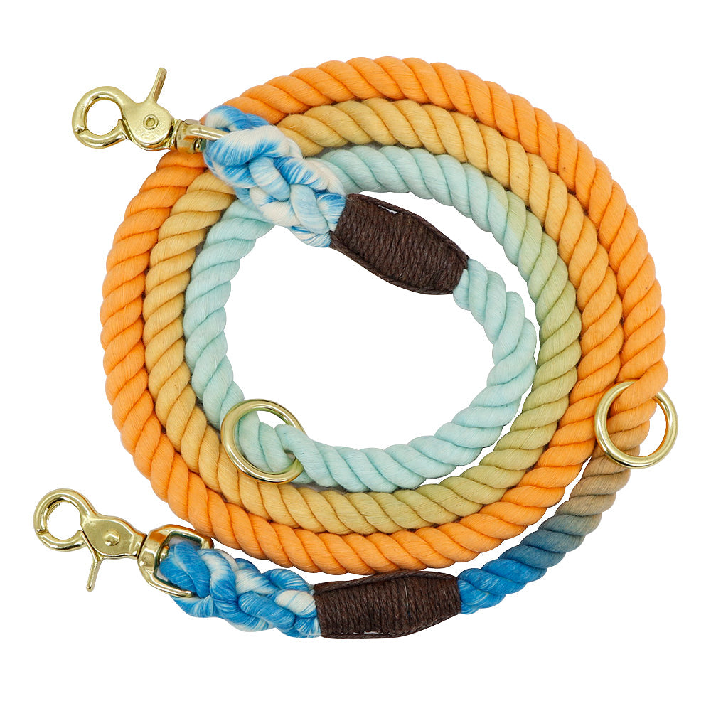 Elevate Your Pet’s Style with Our Gradient Color Pet Collar and Leash