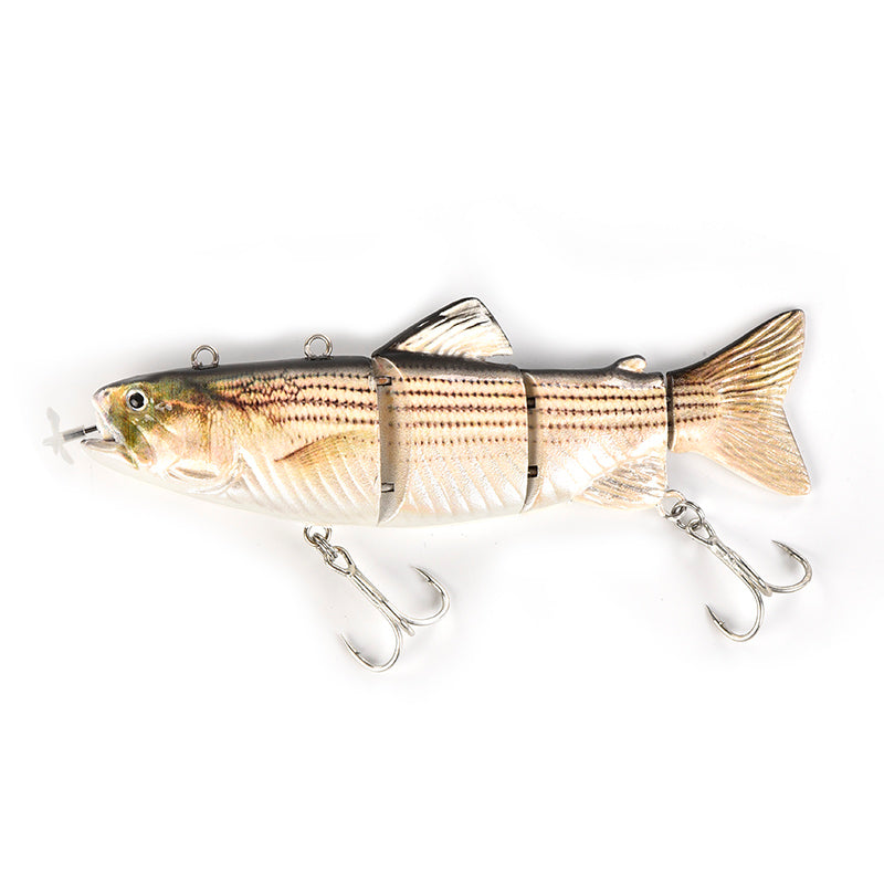 Fishing Lure for Freshwater and Saltwater Angling
