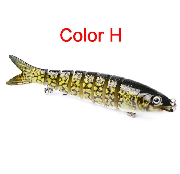 Fishing Lure and Bait for Freshwater and Saltwater Fishing