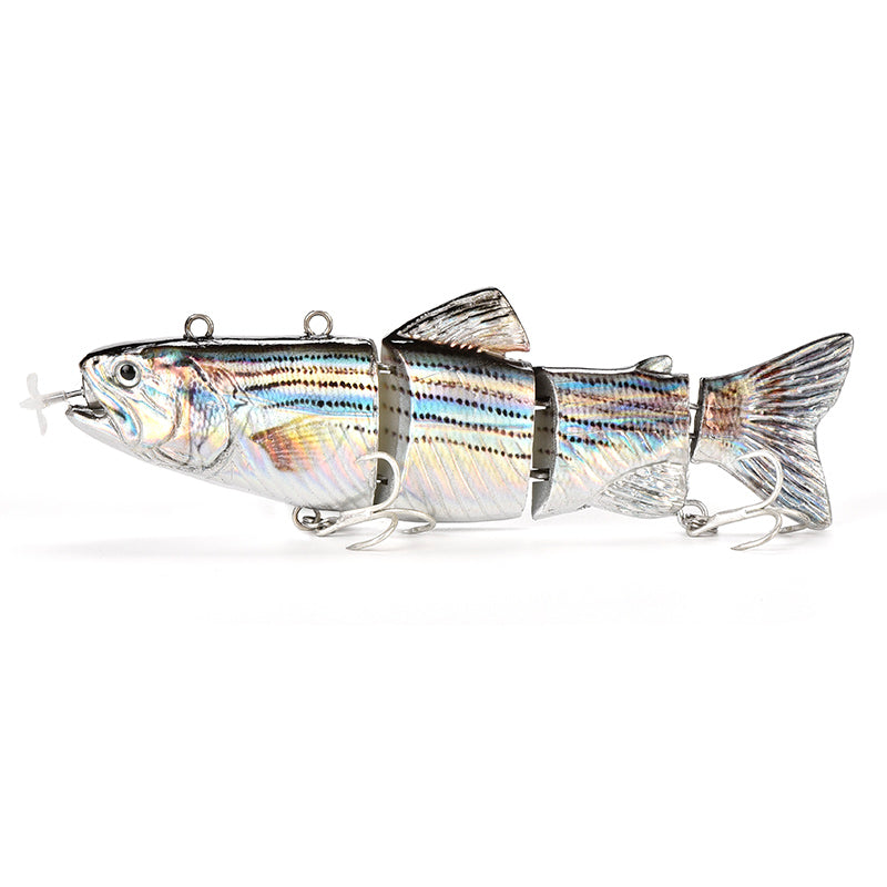Fishing Lure for Freshwater and Saltwater Angling