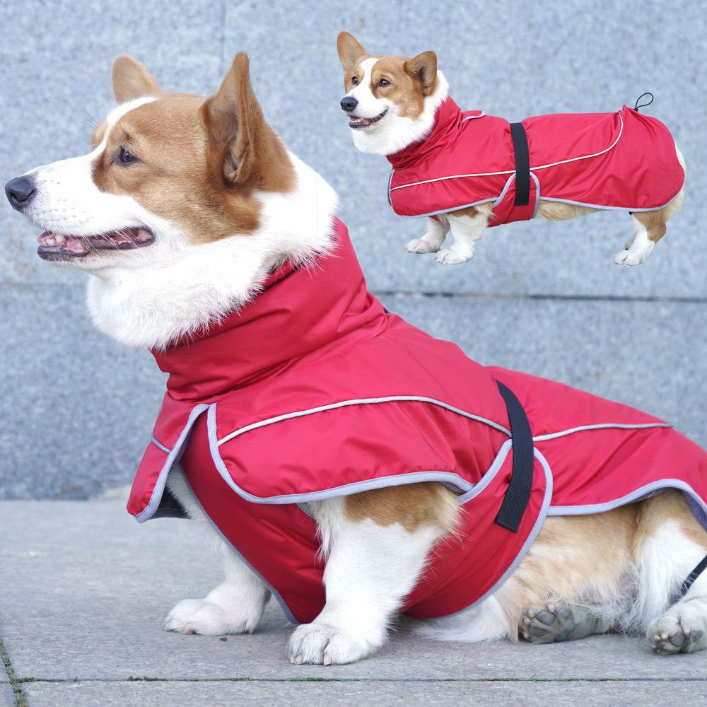 Warm Insulated Jacket for Pets