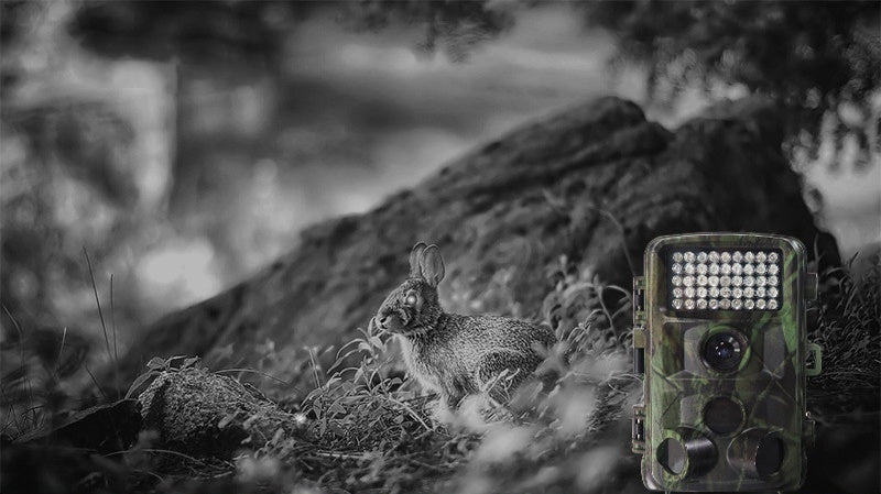 Wildlife Hunting Camera for Outdoor Monitoring and Motion Detection