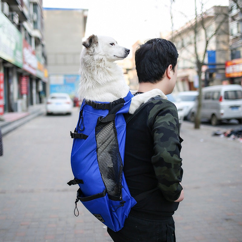 Double-Shoulder Portable Pet Travel Backpack Carrier