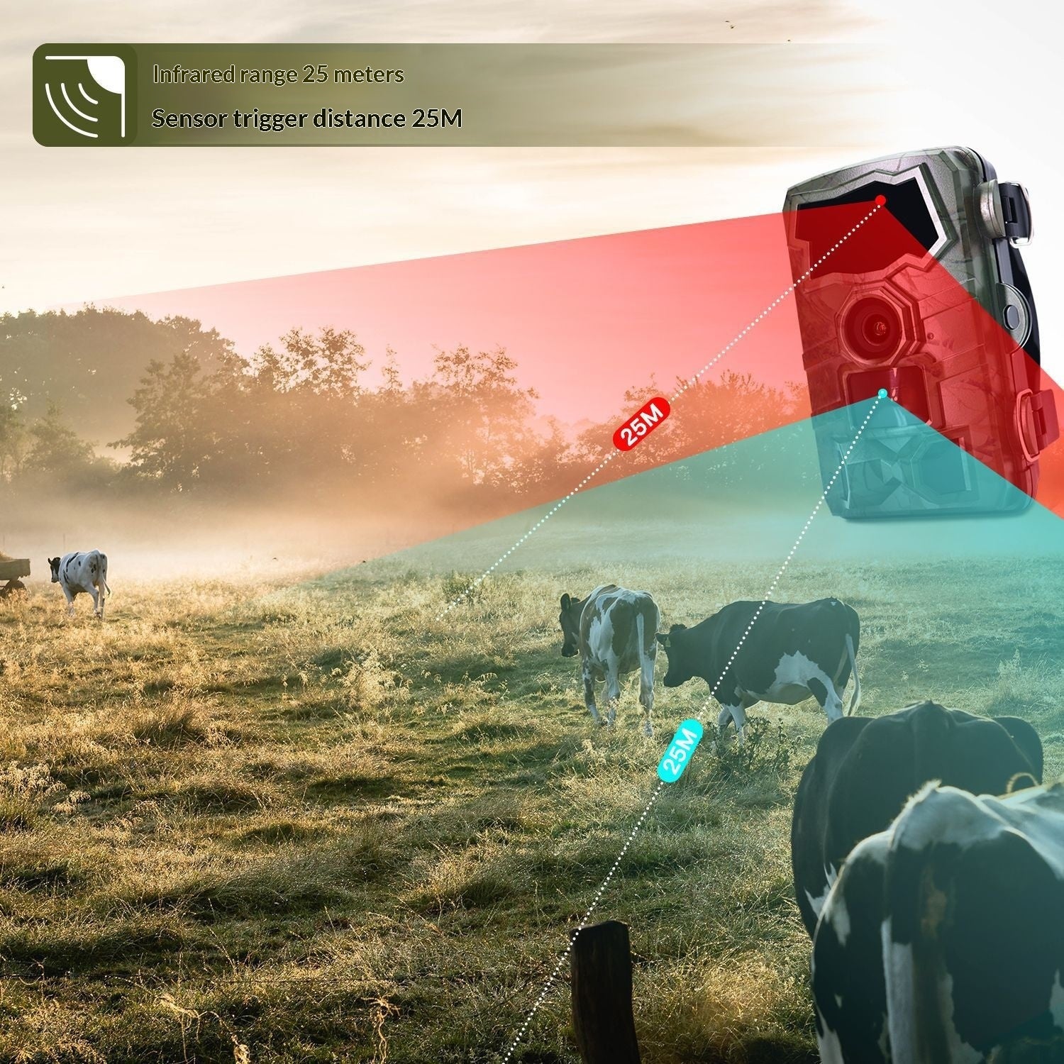 Wi-Fi Hunting Camera for Outdoor Scientific Research with Motion-Activated Monitoring