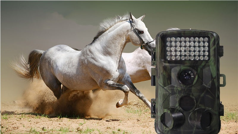 Wildlife Hunting Camera for Outdoor Monitoring and Motion Detection