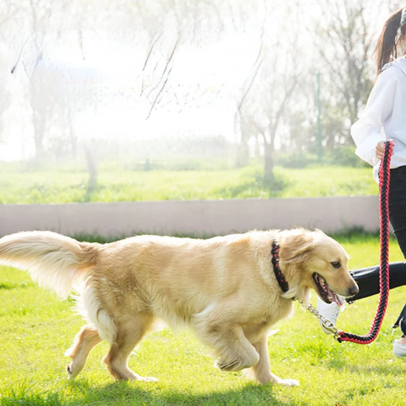 Heavy-Duty Nylon Braided Pet Collar and Leash Set