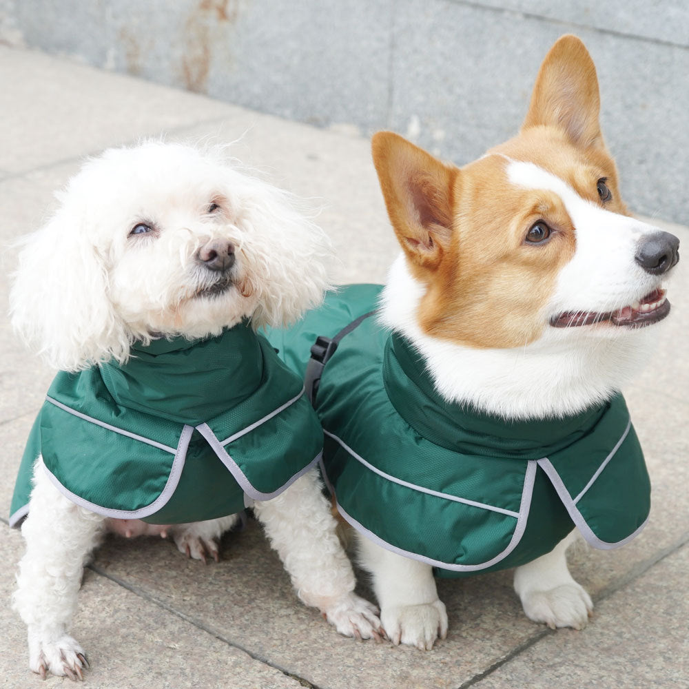Warm Insulated Jacket for Pets